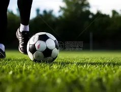 巴黎力促多,纳鲁马续约,皮纳蒙蒂前,太阳城,太阳城娱乐,娱乐城,线上娱乐城